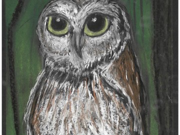 Wyniki konkursu Portret sowy, 